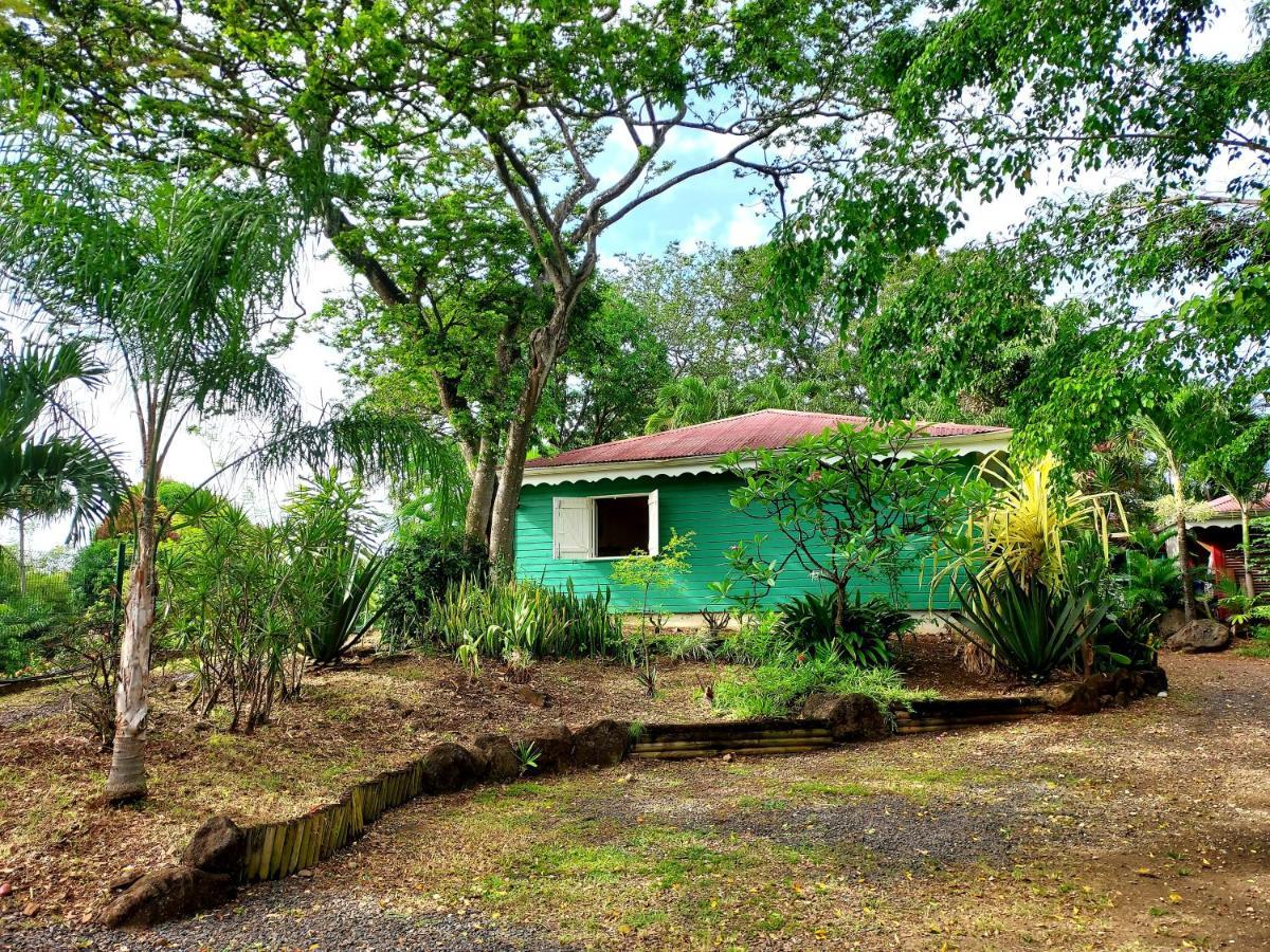 Bungalow Du Jardin Botanique De Deshaies Kültér fotó